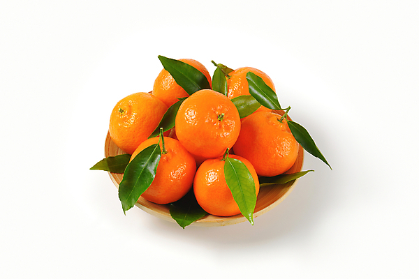 포토 JPG 해외이미지 스튜디오촬영 그릇 잎 귤 사람없음 신선 흰배경 담기 해외202004 해외202105 해외포토 식물 식기 백그라운드 과일 모션 실내 흰색 파일형식