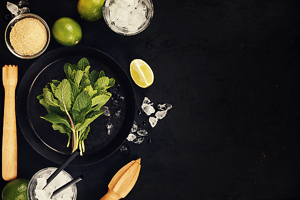 포토 JPG 해외이미지 검은배경 사람없음 하이앵글 얼음 설탕 민트 칵테일잔 라임 과즙기 모히토 카피스페이스 해외202004 해외포토 자연요소 뷰포인트 백그라운드 술잔 과일 검은색 공백 칵테일 허브 파일형식