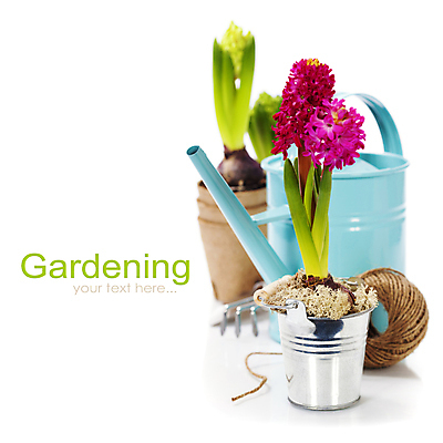 포토 JPG 해외이미지 화분 실내 사람없음 물뿌리개 모종삽 흰배경 원예 노끈 갈퀴 히아신스 해외202004 해외포토 꽃 줄 백그라운드 취미 내부 흰색 삽 파일형식