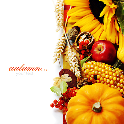 포토 JPG 해외이미지 열매 낙엽 호박 해바라기 실내 타이포그라피 사람없음 농작물 추수 벼 가을 사과 흰배경 호두 도토리 찰옥수수 카피스페이스 해외202004 해외포토 식물 문자 계절 꽃 백그라운드 잎 농업 채소 과일 곡류 옥수수 내부 공백 견과류 흰색 파일형식