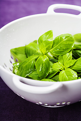 포토 JPG 해외이미지 그릇 실내 사람없음 담기 바질 보라색배경 해외202004 해외포토 식기 백그라운드 모션 내부 보라색 파일형식