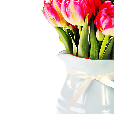 포토 JPG 해외이미지 리본 꽃다발 실내 근접촬영 사람없음 꽃병 튤립 흰배경 카피스페이스 해외202004 해외포토 꽃 뷰포인트 백그라운드 내부 공백 흰색 파일형식