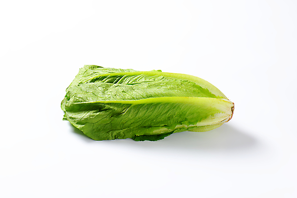 포토 JPG 해외이미지 스튜디오촬영 음식 잎 채소 재료 건강 사람없음 샐러드 신선 상추 흰배경 유기농 날것 로메인상추 해외202004 해외202105 해외포토 식물 웰빙 백그라운드 실내 흰색 파일형식