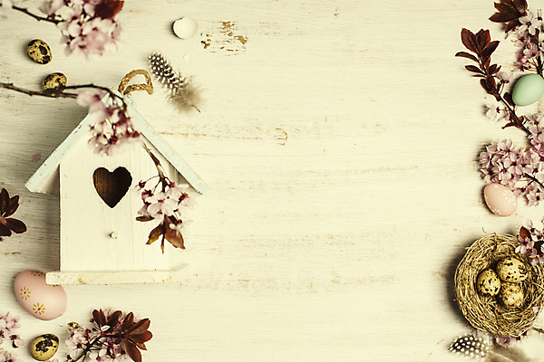 포토 JPG 해외이미지 나뭇잎 부활절 사람없음 하이앵글 벚꽃 나뭇가지 둥지 깃털 흰배경 부활절계란 나무바닥 새장 메추리알 카피스페이스 해외202004 해외포토 나무 기념일 꽃 뷰포인트 백그라운드 잎 바닥 계란 알 공백 흰색 케이지 파일형식