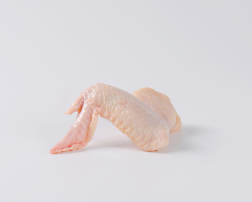 포토 JPG 해외이미지 스튜디오촬영 생고기 사람없음 한개 닭고기 신선 흰배경 날것 닭날개 생닭 해외202004 해외202105 해외포토 1 백그라운드 실내 육류 흰색 닭 파일형식