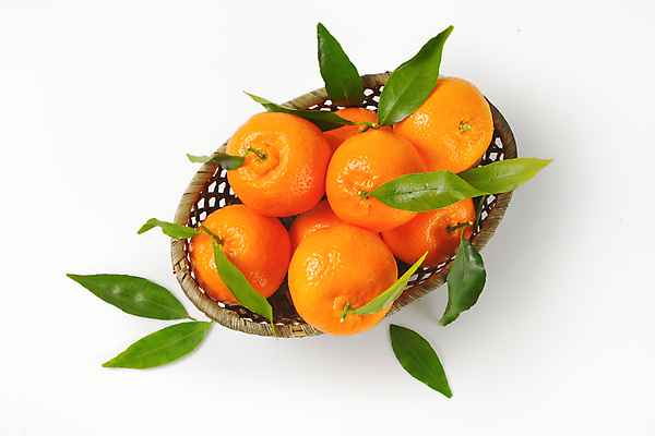 포토 JPG 해외이미지 스튜디오촬영 잎 귤 사람없음 바구니 신선 흰배경 담기 해외202004 해외202105 해외포토 식물 백그라운드 과일 모션 실내 흰색 파일형식