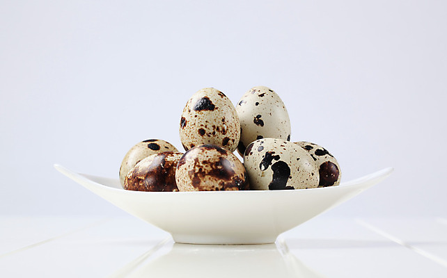 포토 JPG 해외이미지 접시 음식 재료 사람없음 쌓기 계란 신선 점 그룹 유기농 날것 메추리 카피스페이스 해외202004 해외202105 해외포토 식기 웰빙 모션 알 공백 파일형식