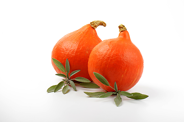 포토 JPG 해외이미지 스튜디오촬영 식물 음식 잎 채소 오렌지 호박 사람없음 장식 할로윈 가을 나뭇가지 신선 원형 양념 작음 허브 향신료 흰배경 유기농 날것 박 추수감사절 국산 세이지 숙성 식용 해외202004 해외202105 해외포토 도형 나무 웰빙 계절 기독교 백그라운드 과일 실내 흰색 크기 향미료 파일형식