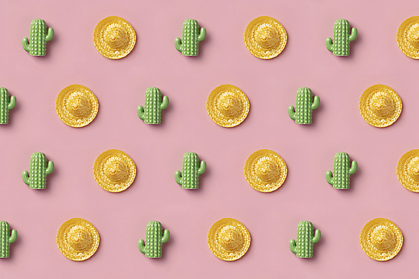 포토 JPG 해외이미지 패턴 선인장 실내 사람없음 하이앵글 미니어처 밀짚모자 분홍색배경 해외202004 해외포토 식물 모자_잡화 뷰포인트 분홍색 백그라운드 무늬 내부 모형 파일형식