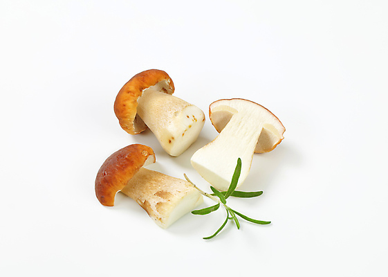 포토 JPG 해외이미지 스튜디오촬영 식재료 단면 실내 사람없음 흰배경 로즈메리 그물버섯 해외202004 해외202105 해외포토 백그라운드 내부 버섯 흰색 허브 파일형식