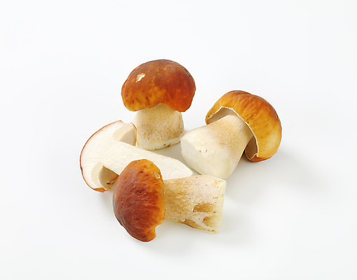 포토 JPG 해외이미지 스튜디오촬영 식재료 단면 실내 사람없음 흰배경 그물버섯 해외202004 해외202105 해외포토 백그라운드 내부 버섯 흰색 파일형식