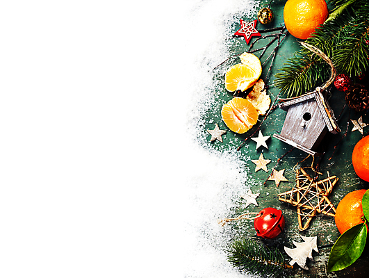 포토 JPG 해외이미지 별 잎 크리스마스장식 크리스마스 귤 사람없음 하이앵글 눈 흰배경 새장 오너먼트 카피스페이스 해외202004 해외포토 자연요소 식물 기념일 뷰포인트 백그라운드 과일 날씨 공백 흰색 케이지 파일형식