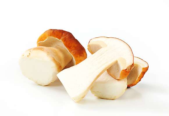 포토 JPG 해외이미지 스튜디오촬영 식재료 단면 실내 사람없음 버섯 흰배경 슬라이스 해외202004 해외202105 해외포토 백그라운드 내부 흰색 파일형식