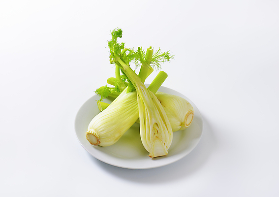 포토 JPG 해외이미지 스튜디오촬영 줄기 잎 채소 재료 전구 건강 사람없음 초록색 신선 흰배경 유기농 반쪽 날것 숙성 회향 해외202004 해외202105 해외포토 식물 웰빙 컬러 백그라운드 실내 흰색 파일형식