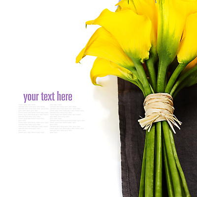 포토 JPG 해외이미지 꽃다발 실내 타이포그라피 사람없음 카라 흰배경 칼라꽃 카피스페이스 해외202004 해외포토 문자 꽃 백그라운드 내부 공백 흰색 파일형식