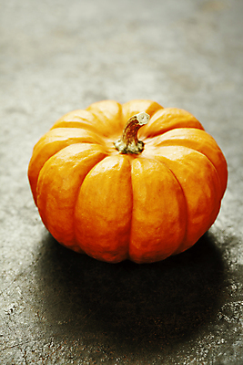 포토 JPG 해외이미지 호박 실내 사람없음 농작물 한개 가을 해외202004 해외포토 1 계절 농업 채소 내부 파일형식