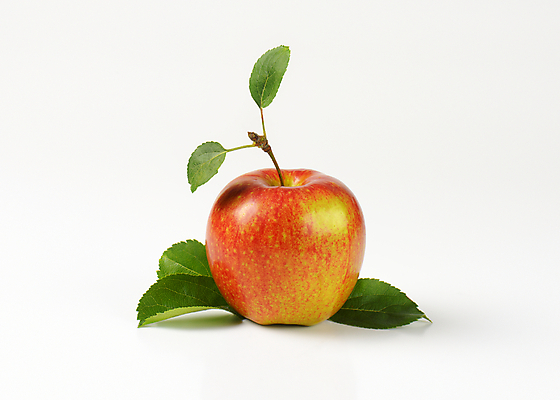 포토 JPG 해외이미지 스튜디오촬영 1 음식 잎 과일 사람없음 빨간색 신선 사과 싱글 흰배경 유기농 날것 숙성 해외202004 해외202105 해외포토 식물 웰빙 컬러 백그라운드 실내 흰색 파일형식