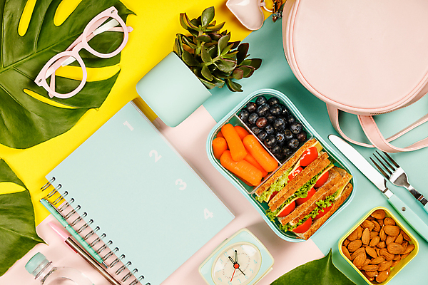 포토 JPG 해외이미지 화분 안경 포크 실내 샌드위치 사람없음 하이앵글 유행 다이어리 핸드백 자명종 나이프 도시락 아몬드 도시락통 파스텔톤 플래너 해외202004 해외포토 식기 잡화 음식 뷰포인트 시계 컬러 가방 내부 사무용품 견과류 알람 용기_그릇 칼 파일형식