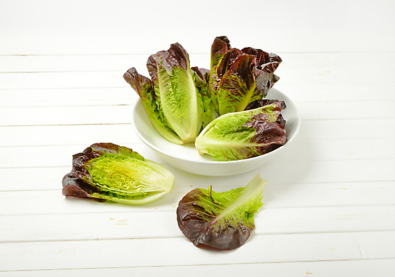 포토 JPG 해외이미지 스튜디오촬영 음식 잎 채소 재료 건강 사람없음 빨간색 초록색 샐러드 흰색 신선 사발 상추 자르기 가득함 유기농 날것 국산 내추럴 숙성 해외202004 해외202105 해외포토 식물 웰빙 컬러 모션 실내 사기그릇 파일형식