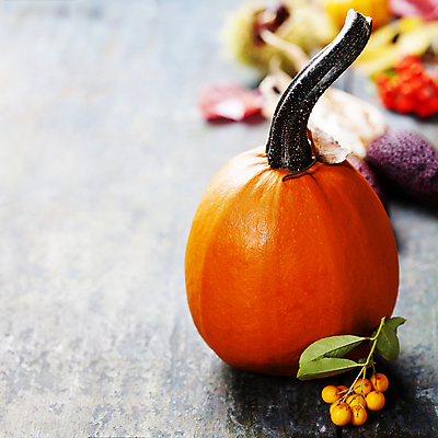 포토 JPG 해외이미지 열매 호박 실내 사람없음 아웃포커스 농작물 가을 나무바닥 카피스페이스 해외202004 해외포토 식물 계절 농업 채소 바닥 촬영기법 내부 공백 파일형식