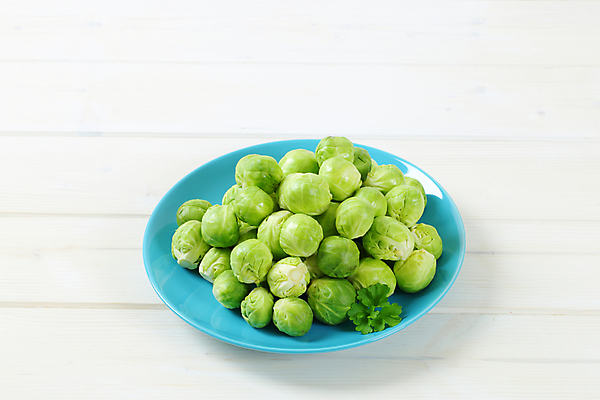 포토 JPG 해외이미지 스튜디오촬영 접시 음식 채소 재료 부분 건강 사람없음 초록색 파란색 쌓기 새싹 신선 그룹 흰배경 유기농 양배추 날것 흙더미 생식 숙성 터키석 해외202004 해외202105 해외포토 식물 식기 웰빙 컬러 백그라운드 모션 실내 흙 흰색 보석 파일형식 더미