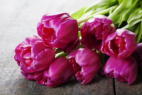 포토 JPG 해외이미지 꽃다발 실내 사람없음 튤립 나무탁자 해외202004 해외포토 꽃 탁자 내부 파일형식