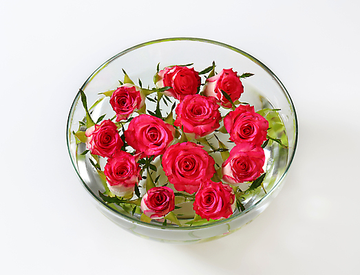 포토 JPG 해외이미지 스튜디오촬영 꽃잎 꽃 분홍색 유리 휴식 사람없음 장식 물 장미 낭만 벚꽃 신선 사발 식용 취급주의 해외202004 해외202105 해외포토 자연요소 식물 컬러 컨셉 재질 실내 경고 사기그릇 파일형식