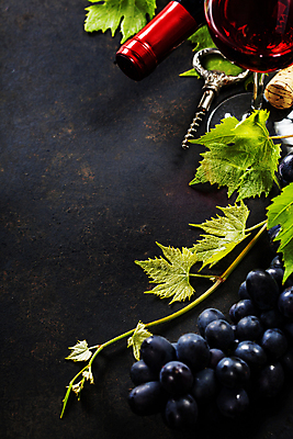 포토 JPG 해외이미지 백그라운드 포도 사람없음 와인 레드와인 화이트와인 카피스페이스 해외202004 해외포토 과일 주류 공백 파일형식