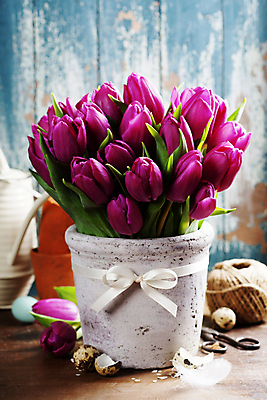 포토 JPG 해외이미지 리본 화분 꽃다발 부활절 실내 사람없음 튤립 깃털 노끈 메추리알 알껍데기 해외202004 해외포토 기념일 꽃 줄 내부 알 파일형식