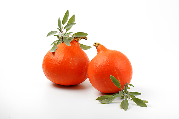 포토 JPG 해외이미지 스튜디오촬영 식물 음식 잎 채소 오렌지 호박 사람없음 장식 할로윈 가을 나뭇가지 신선 원형 양념 작음 허브 향신료 흰배경 유기농 날것 박 추수감사절 국산 세이지 숙성 식용 해외202004 해외202105 해외포토 도형 나무 웰빙 계절 기독교 백그라운드 과일 실내 흰색 크기 향미료 파일형식