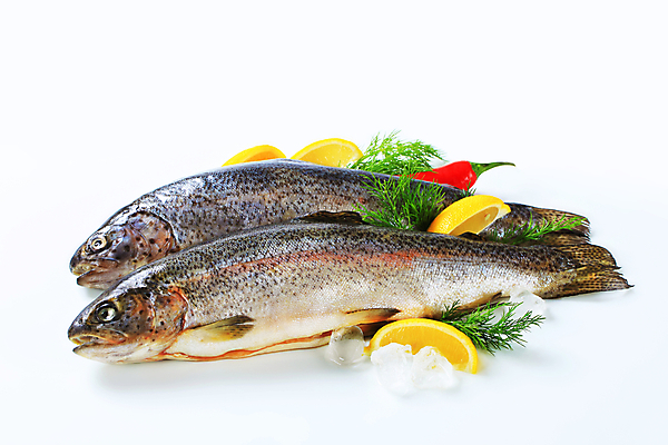 포토 JPG 해외이미지 스튜디오촬영 음식 2 재료 고추 건강 어류 사람없음 냉동 얼음 흰색 신선 레몬 해산물 흰배경 날것 연어 고립 딜 생식 송어 음식준비 해외202004 해외202105 해외포토 자연요소 컬러 백그라운드 채소 과일 실내 수중동물 준비 파일형식