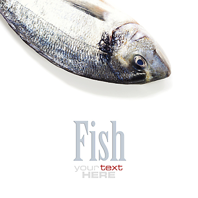 포토 JPG 해외이미지 식재료 실내 어류 타이포그라피 사람없음 레몬 해산물 흰배경 황새치 카피스페이스 해외202004 해외포토 문자 백그라운드 과일 내부 수중동물 공백 흰색 파일형식 새치