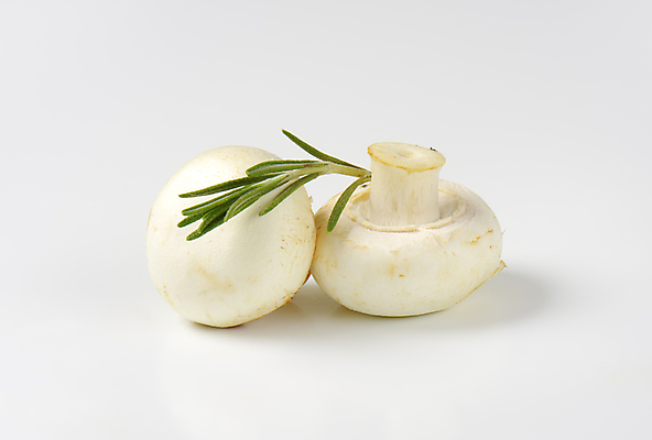 포토 JPG 해외이미지 스튜디오촬영 식재료 실내 사람없음 흰배경 양송이 로즈메리 해외202004 해외202105 해외포토 백그라운드 내부 버섯 흰색 허브 파일형식