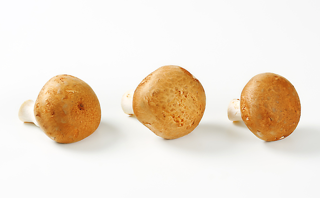 포토 JPG 해외이미지 스튜디오촬영 식재료 실내 사람없음 흰배경 양송이 해외202004 해외202105 해외포토 백그라운드 내부 버섯 흰색 파일형식