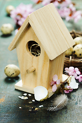 포토 JPG 해외이미지 부활절 사람없음 아웃포커스 벚꽃 나뭇가지 둥지 깃털 새장 메추리알 나무탁자 알껍데기 해외202004 해외포토 나무 기념일 꽃 탁자 촬영기법 알 케이지 파일형식