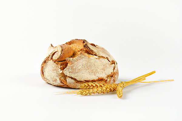 포토 JPG 해외이미지 스튜디오촬영 1 음식 빵 사람없음 껍질 신선 원형 밀 굽기 보리 귀 덩어리 호밀 해외202004 해외202105 해외포토 도형 곡류 실내 신체부위 구이 파일형식