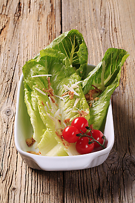 포토 JPG 해외이미지 접시 음식 잎 토마토 재료 치즈 건강 사람없음 초록색 샐러드 신선 상추 날것 반주 백자 채식주의자 로메인상추 해외202004 해외202105 해외포토 식물 식기 컬러 채소 유제품 도자기 채식 파일형식