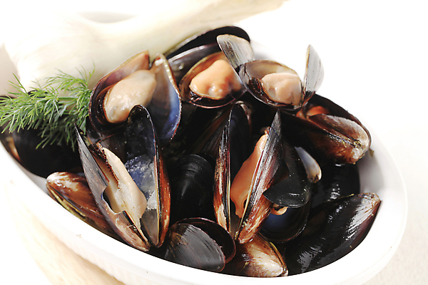 포토 JPG 해외이미지 무료이미지 접시 음식 조개 건강 사람없음 냉동 얼음 껍질 신선 도자기 사발 레몬 해산물 날것 홍합 로즈메리 식용 해외202004 해외202105 해외포토 자연요소 식기 과일 어패류 사기그릇 허브 파일형식