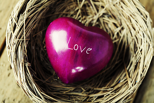 포토 JPG 해외이미지 영어 실내 사랑 사람없음 하트 둥지 오브젝트 나무바닥 해외202004 해외포토 모양 문자 감정 바닥 내부 파일형식