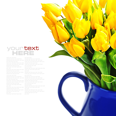 포토 JPG 해외이미지 꽃다발 실내 타이포그라피 사람없음 꽃병 튤립 흰배경 카피스페이스 해외202004 해외포토 문자 꽃 백그라운드 내부 공백 흰색 파일형식