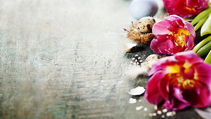 포토 JPG 해외이미지 탁자 부활절 사람없음 튤립 둥지 부활절계란 메추리알 카피스페이스 나무배경 해외202004 해외포토 기념일 꽃 가구 백그라운드 계란 알 공백 파일형식