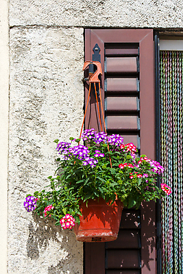 포토 JPG 해외이미지 식물 무료이미지 외관 꽃 유럽 벽 주택 사람없음 야외 건물 문 마을 맑음 이탈리아 수확 시골 도시 역사 냄비 타운 시에나 심기 옛날 토스카나 해외202004 해외202105 해외포토 건축물 나라 농업 모션 날씨 솥 파일형식