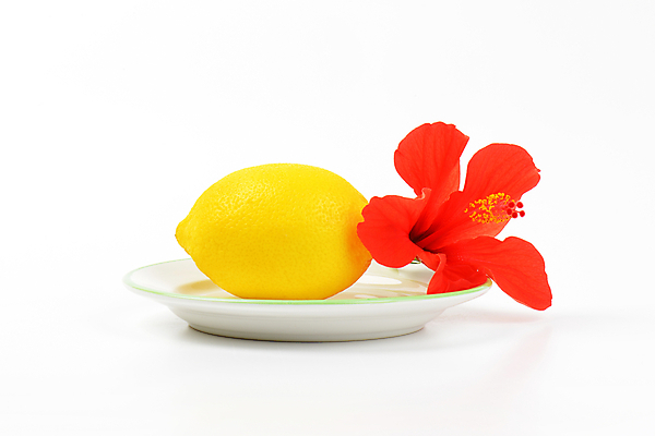 포토 JPG 해외이미지 스튜디오촬영 접시 사람없음 신선 레몬 흰배경 담기 히비스커스 해외202004 해외202105 해외포토 식기 꽃 백그라운드 과일 모션 실내 흰색 파일형식