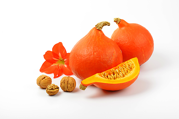 포토 JPG 해외이미지 스튜디오촬영 호박 사람없음 호두 히비스커스 해외202004 해외202105 해외포토 꽃 채소 실내 견과류 파일형식