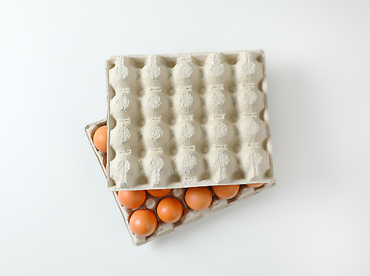 포토 JPG 해외이미지 스튜디오촬영 사람없음 계란 계란판 한판 해외202004 해외202105 해외포토 1 실내 알 파일형식