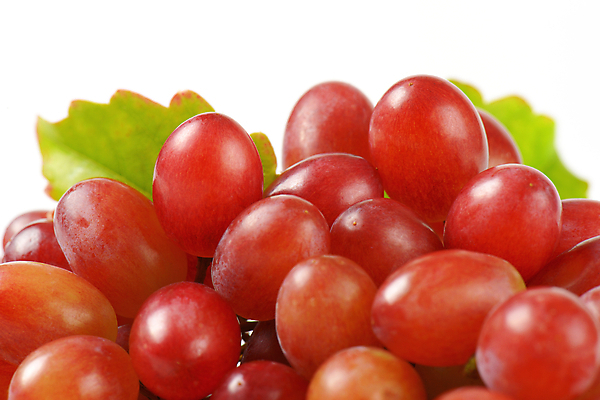 포토 JPG 해외이미지 과일 근접촬영 사람없음 신선 포도송이 포도알 포도잎 해외202004 해외202105 해외포토 뷰포인트 잎 포도 파일형식