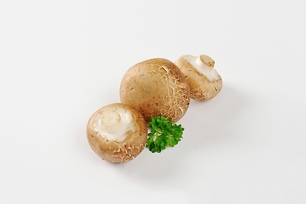포토 JPG 해외이미지 식재료 실내 파슬리 사람없음 양송이 해외202004 해외202105 해외포토 채소 내부 버섯 파일형식