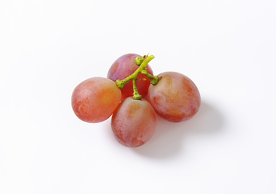 포토 JPG 해외이미지 스튜디오촬영 포도 사람없음 신선 흰배경 포도알 해외202004 해외202105 해외포토 백그라운드 과일 실내 흰색 파일형식