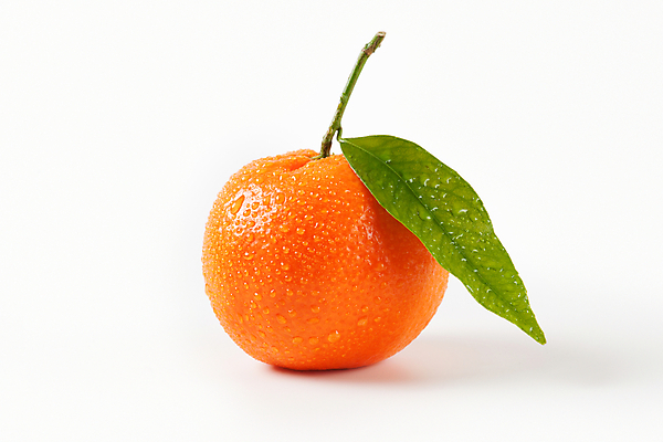 포토 JPG 해외이미지 스튜디오촬영 잎 귤 사람없음 물방울 신선 흰배경 해외202004 해외202105 해외포토 식물 백그라운드 과일 실내 흰색 파일형식