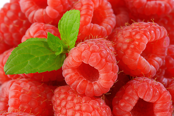 포토 JPG 해외이미지 음식 과일 건강 사람없음 빨간색 쌓기 신선 그룹 달콤 묘사 유기농 산딸기 베리 흙더미 숙성 해외202004 해외202105 해외포토 웰빙 컬러 모션 흙 맛 파일형식 더미